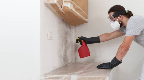 Attic Mold Remediation treatment on roof deck in Belmont